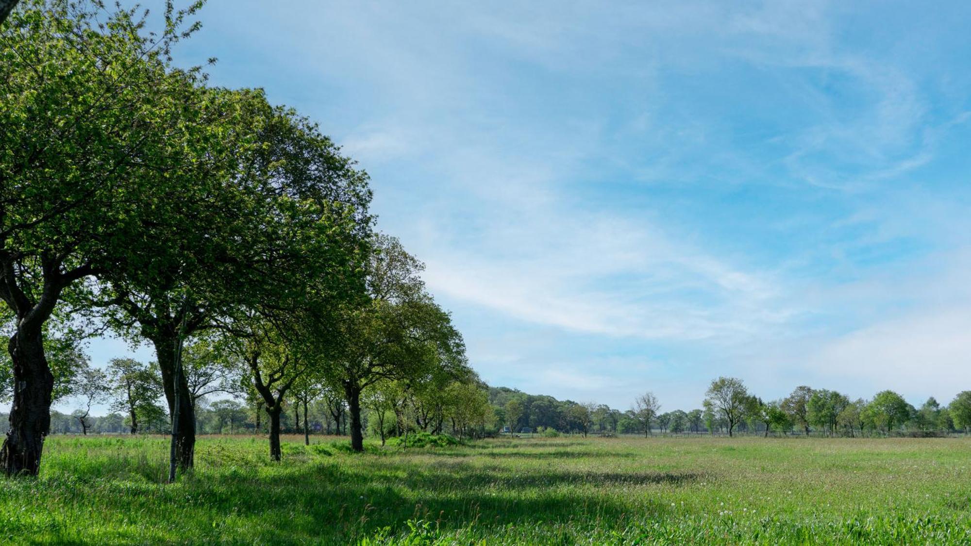 Friesensee Camping Und Ferienpark Wittmund Dış mekan fotoğraf